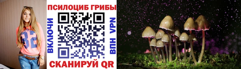 Галлюциногенные грибы мицелий Тейково